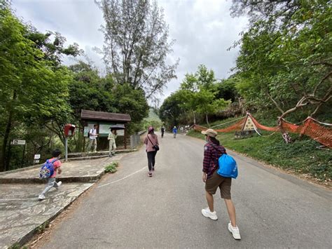 鶴嘯山谷地|鶴藪水塘家樂徑｜介